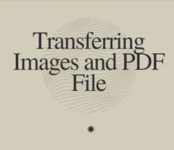 How To Transfer Image Files To Word